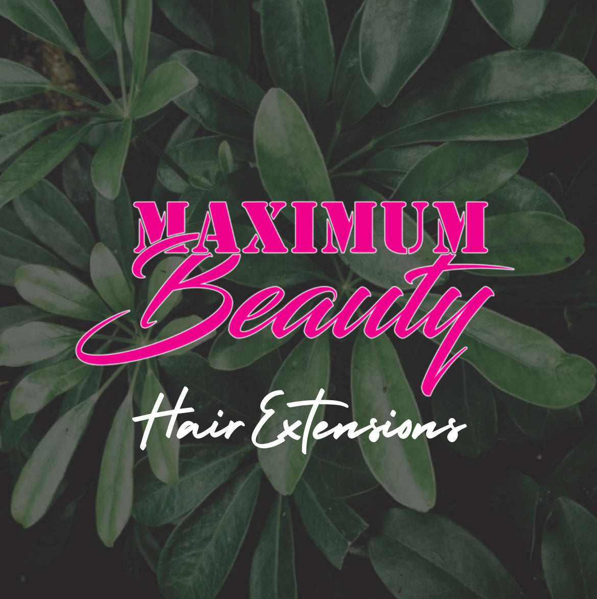 Hair Extension Application